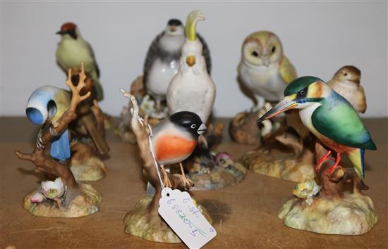 Nine Royal Crown Derby bird figures